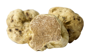 White_fresh_truffles_grande